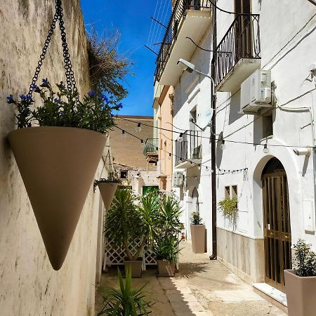 Blue Moon Bed & Breakfast Spinazzola Bagian luar foto