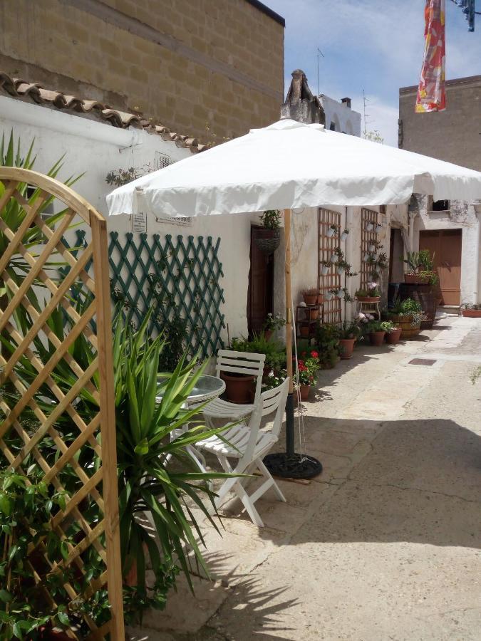 Blue Moon Bed & Breakfast Spinazzola Bagian luar foto