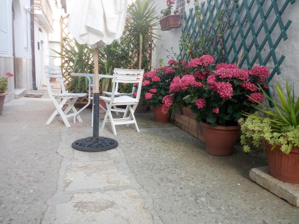 Blue Moon Bed & Breakfast Spinazzola Bagian luar foto