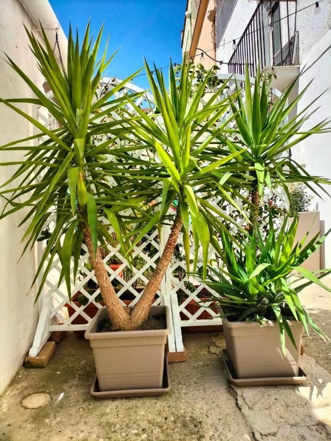 Blue Moon Bed & Breakfast Spinazzola Bagian luar foto
