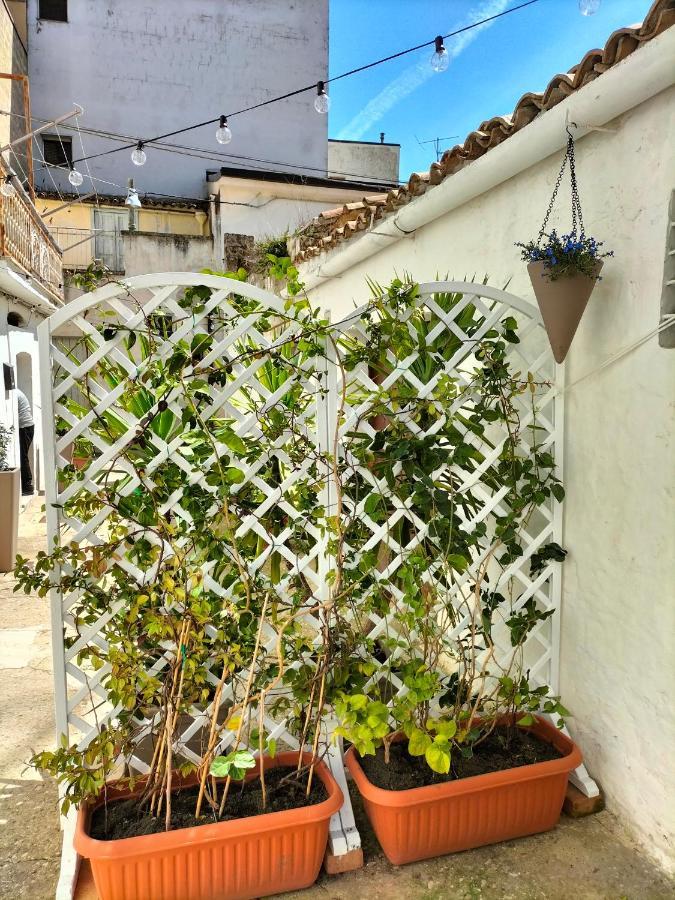 Blue Moon Bed & Breakfast Spinazzola Bagian luar foto